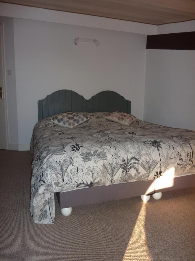 Beaux Chenes Bed & Breakfast Nérac Dış mekan fotoğraf